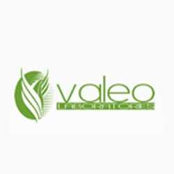 Valeo One